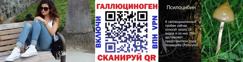Купить где  Свирск  Псилоцибиновые грибы Magic Shrooms 